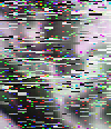 mtvza_rgb_Soil_Moisture.png